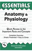 Anatomy and Physiology