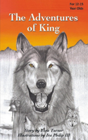 Adventures of King