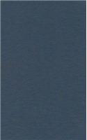 Compendium Theologiae Positivae III