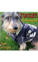 Tucker