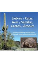 Liebres y Ratas, Aves y Semillas, Cactos y Árboles