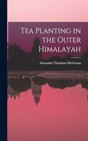 Tea Planting in the Outer Himalayah