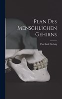 Plan Des Menschlichen Gehirns