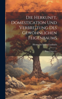 Herkunft, Domestication Und Verbreitung Des Gewöhnlichen Feigenbaums: (Ficus Carica L.)