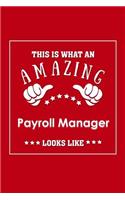 This is What an Amazing Payroll Manager Look Like