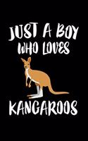 Just A Boy Who Loves Kangaroos: Animal Nature Collection