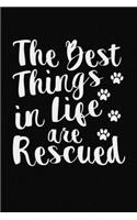 The Best Things In Life Are Rescued