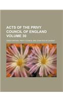 Acts of the Privy Council of England Volume 30: (English)