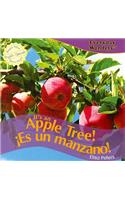 It's an Apple Tree! / ¡Es Un Manzano!