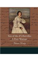 Tess of the d Urbervilles A Pure Woman