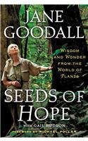 Seeds of Hope