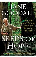 Seeds of Hope