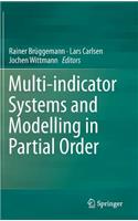 Multi-Indicator Systems and Modelling in Partial Order