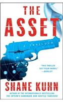 Asset