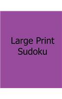 Large Print Sudoku