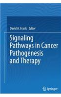 Signaling Pathways in Cancer Pathogenesis and Therapy