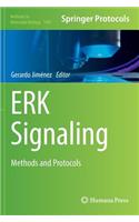 Erk Signaling