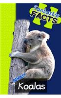 Fantastic Facts about Koalas