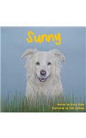 Sunny