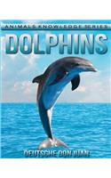 Dolphins