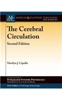 The Cerebral Circulation