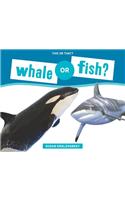 Whale or Fish?: (This or That?)