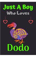 Just A Boy Who Loves Dodo