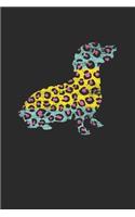 Dachshund Leopard