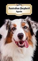 2020 Australian Shepherd Agenda