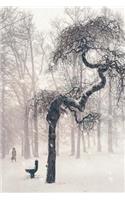 Winter Journal: Snowy Park with Bent Tree, Soft Cover, Ruled Notebook/Journal/Diary (257 P. 6x9)