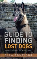Guide to Finding Lost Dogs
