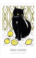 WHEN LIFE GIVES YOU LEMONS