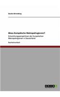 Wozu Europäische Metropolregionen?: Entwicklungsperspektiven der Europäischen Metropolregionen in Deutschland