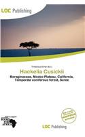 Hackelia Cusickii: (English)