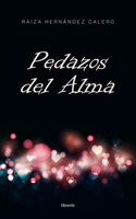 Pedazos del Alma
