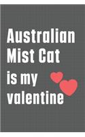 Australian Mist Cat is my valentine