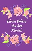 Bloom Where You Are Planted