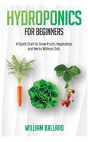 Hydroponics for Beginners