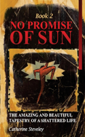 No Promise of Sun, Book 2