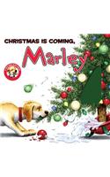 Marley: Christmas Is Coming, Marley