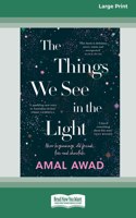 Things We See in the Light [16pt Large Print Edition]