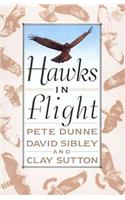 Hawks in Flight