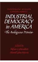 Industrial Democracy in America