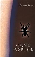 Came a Spider