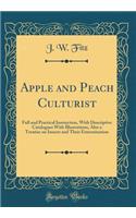 Apple and Peach Culturist: Full and Practical Instruction, with Descriptive Catalogues with Illustrations, Also a Treatise on Insects and Their Extermination (Classic Reprint)