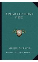 A Primer Of Burns (1896)