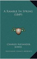 A Ramble In Spring (1849)