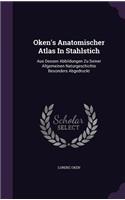 Oken's Anatomischer Atlas In Stahlstich: Aus Dessen Abbildungen Zu Seiner Allgemeinen Naturgeschichte Besonders Abgedruckt