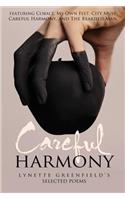 Careful Harmony