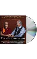 Emotional Awareness